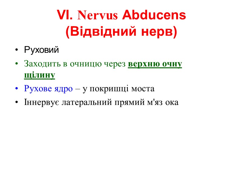 VI. Nervus Abducens (Відвідний нерв) Руховий  Заходить в очницю через верхню очну щілину